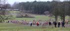 Senior mens Northern Cross Country Champs, Knowsley Safari Park. Photo: David T. Hewitson/Sports for All Pics